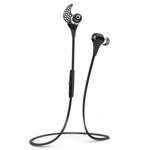 Jaybird Bluebuds