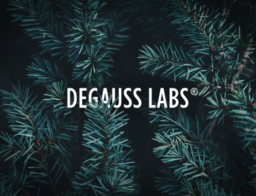 Weihnachtsaktion bei Degauss Labs – 2 In-Ear Kopfhörer gratis!